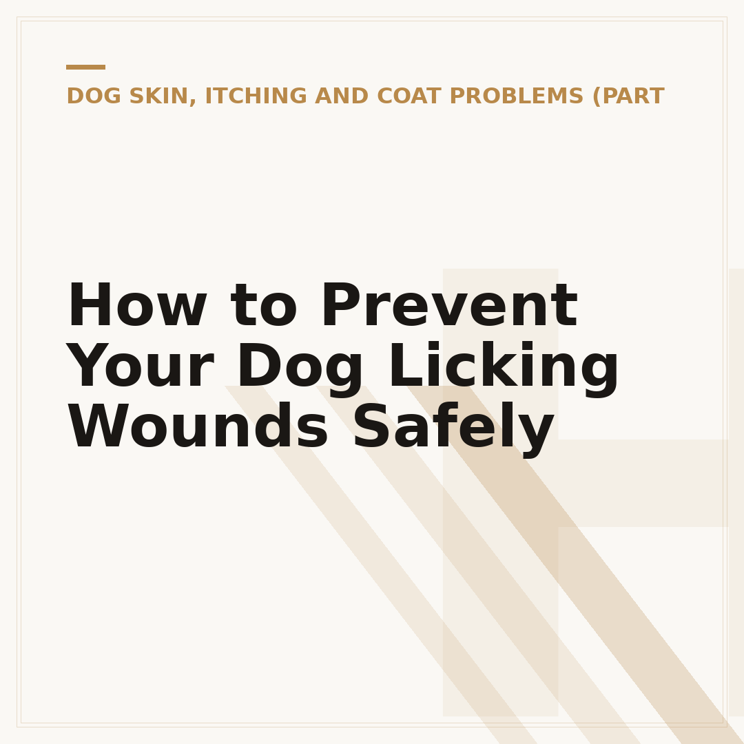 How to Prevent Your Dog Licking Wounds Safely