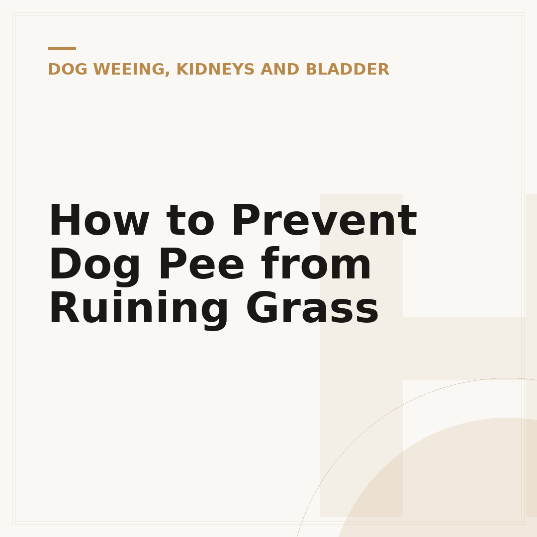 How to Prevent Dog Pee from Ruining Grass
