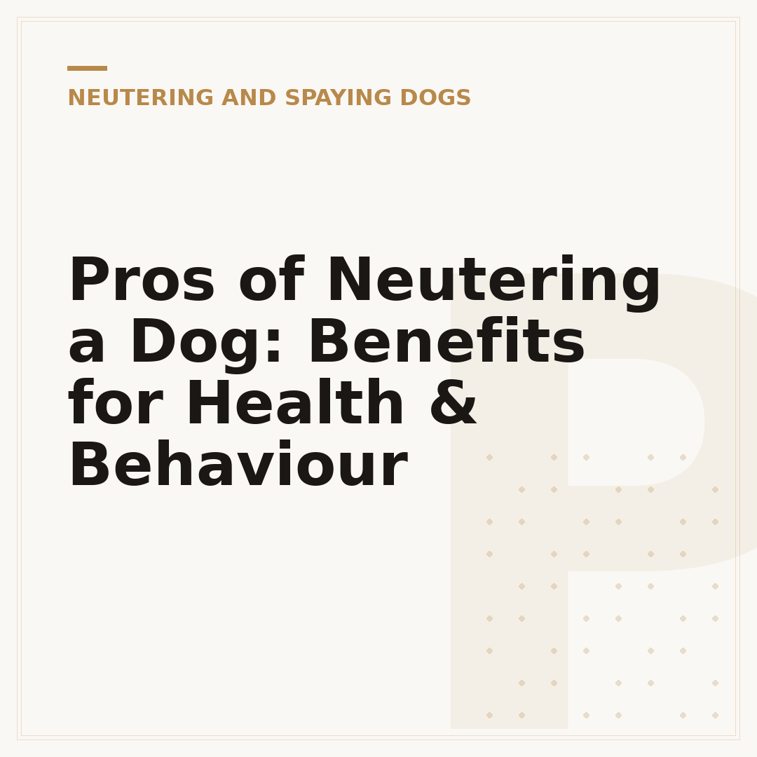 Pros of Neutering a Dog: Benefits for Health & Behaviour