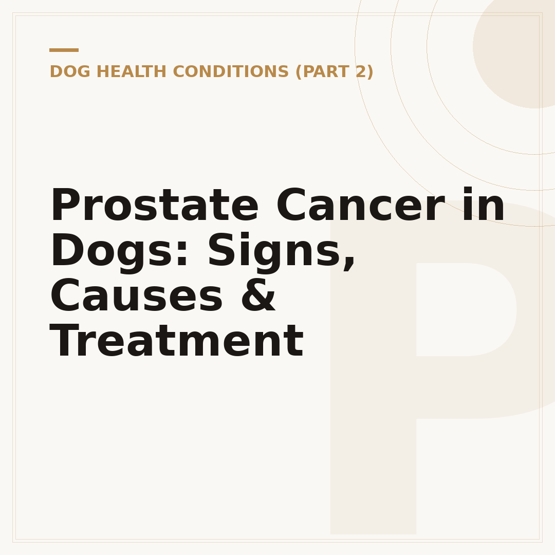 Prostate Cancer in Dogs: Signs, Causes & Treatment