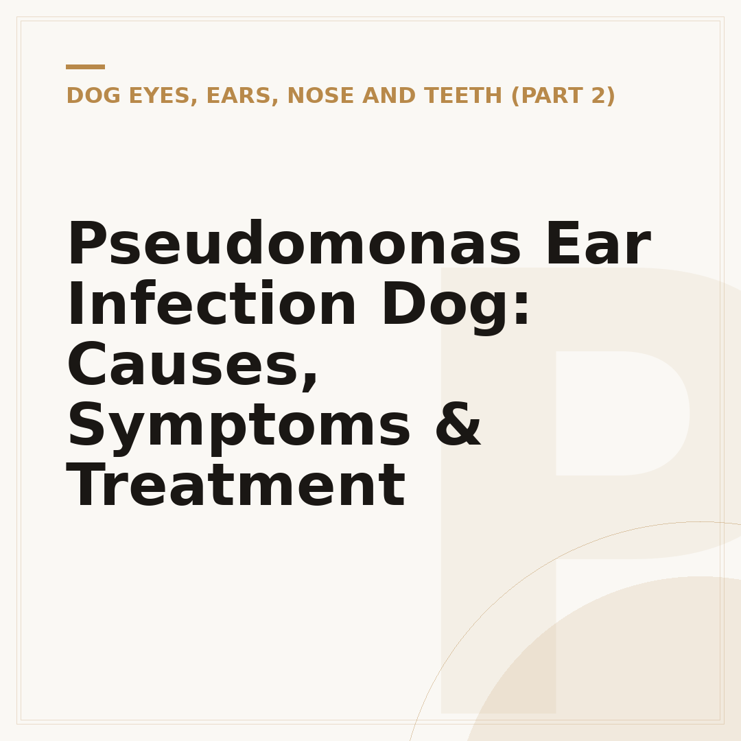 Pseudomonas Ear Infection Dog: Causes, Symptoms & Treatment