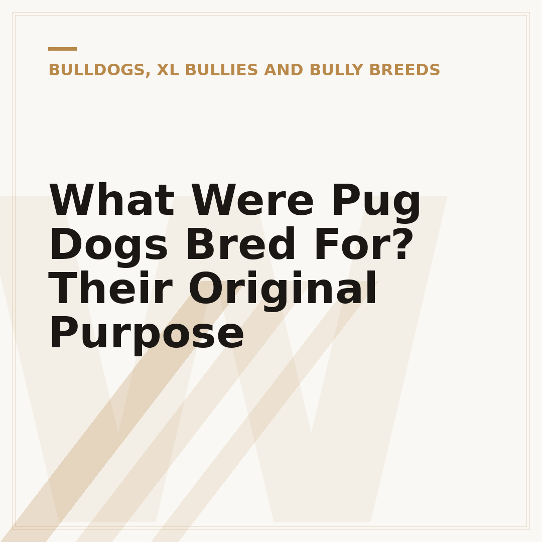 What Were Pug Dogs Bred For? Their Original Purpose