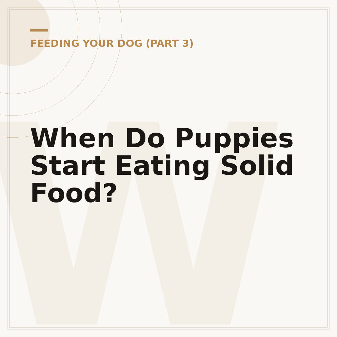 When Do Puppies Start Eating Solid Food?