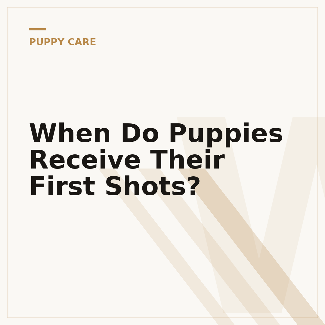 When Do Puppies Receive Their First Shots?