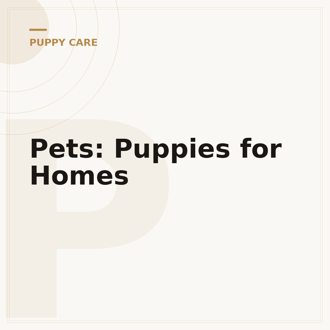 Pets: Puppies for Homes