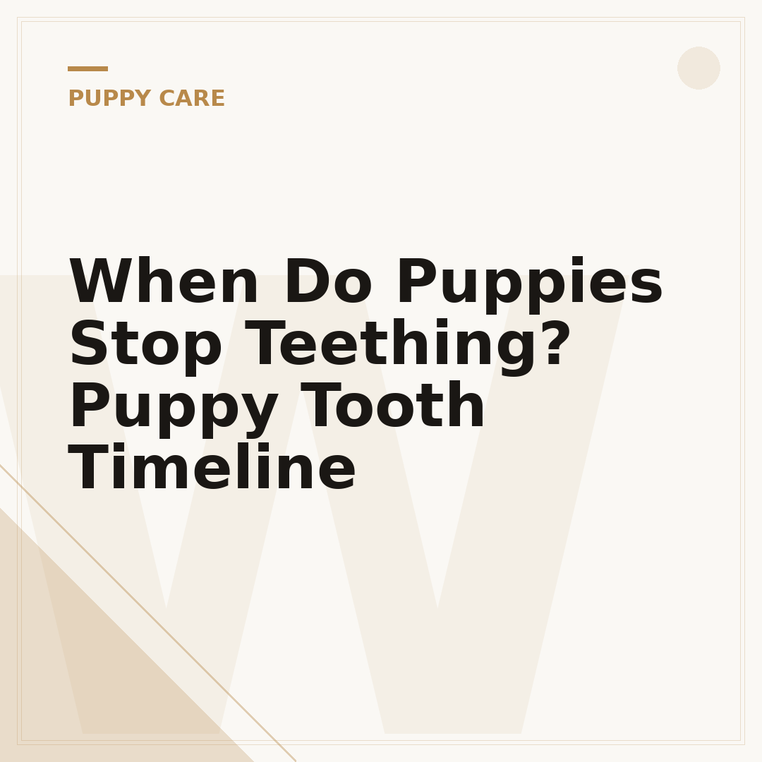When Do Puppies Stop Teething? Puppy Tooth Timeline