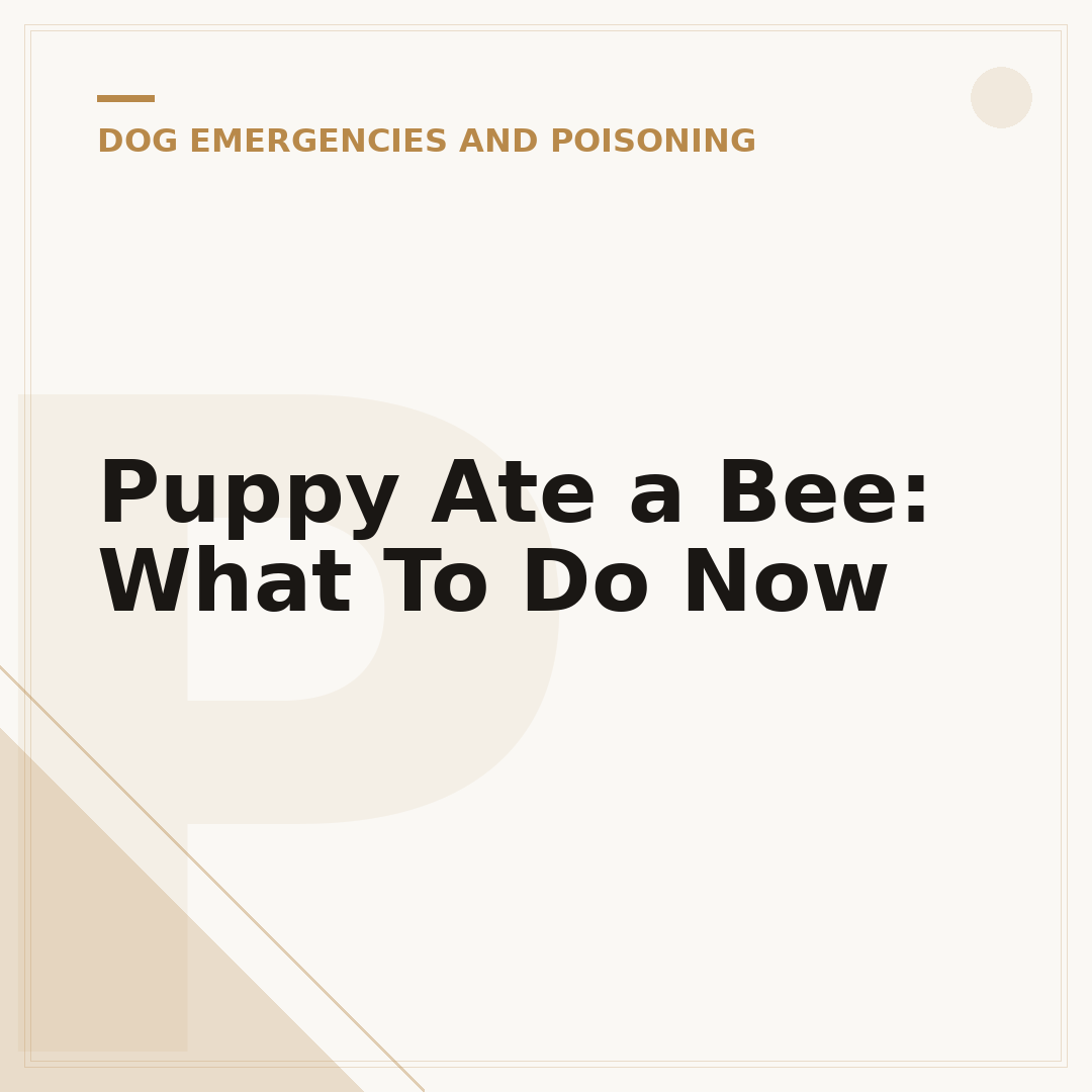 Puppy Ate a Bee: What To Do Now
