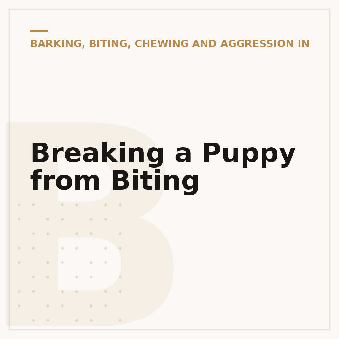 Breaking a Puppy from Biting