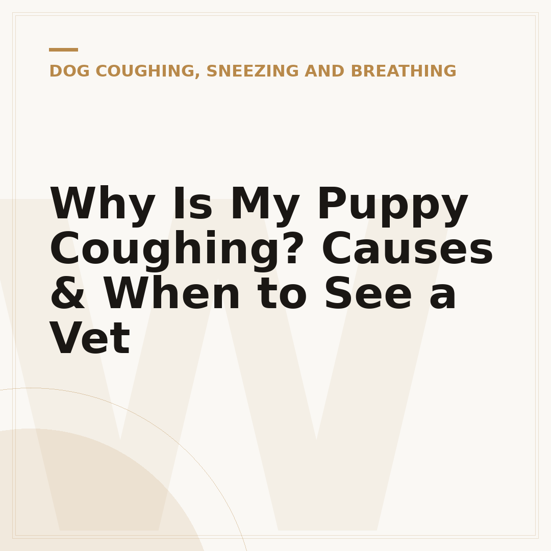 Why Is My Puppy Coughing? Causes & When to See a Vet