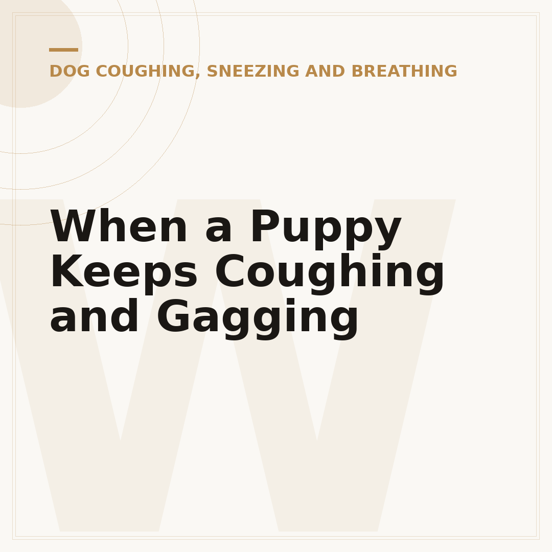 When a Puppy Keeps Coughing and Gagging