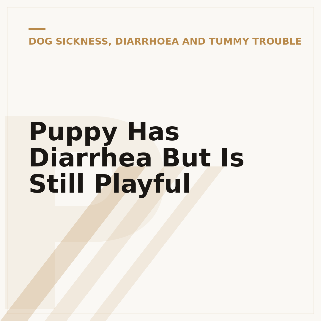 Puppy Has Diarrhea But Is Still Playful