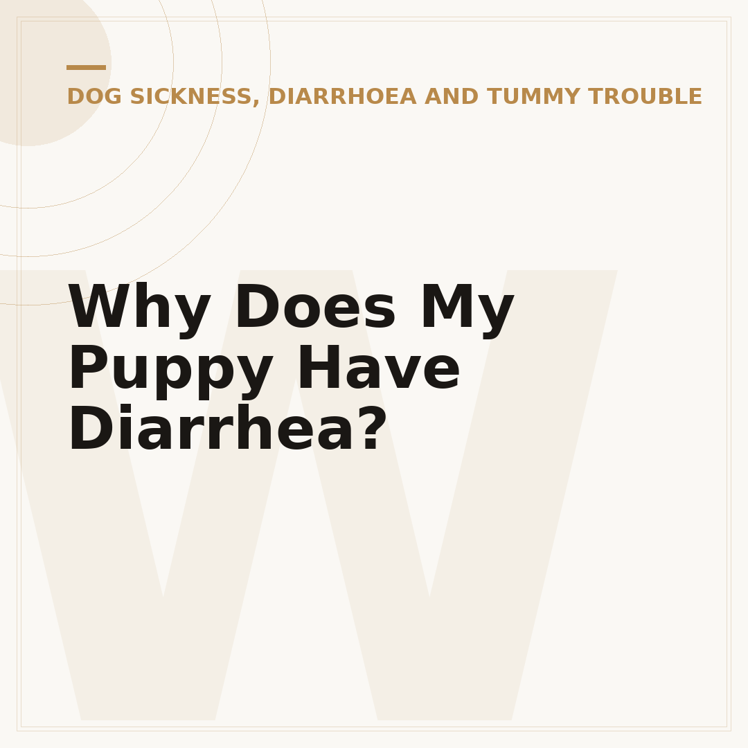Why Does My Puppy Have Diarrhea?