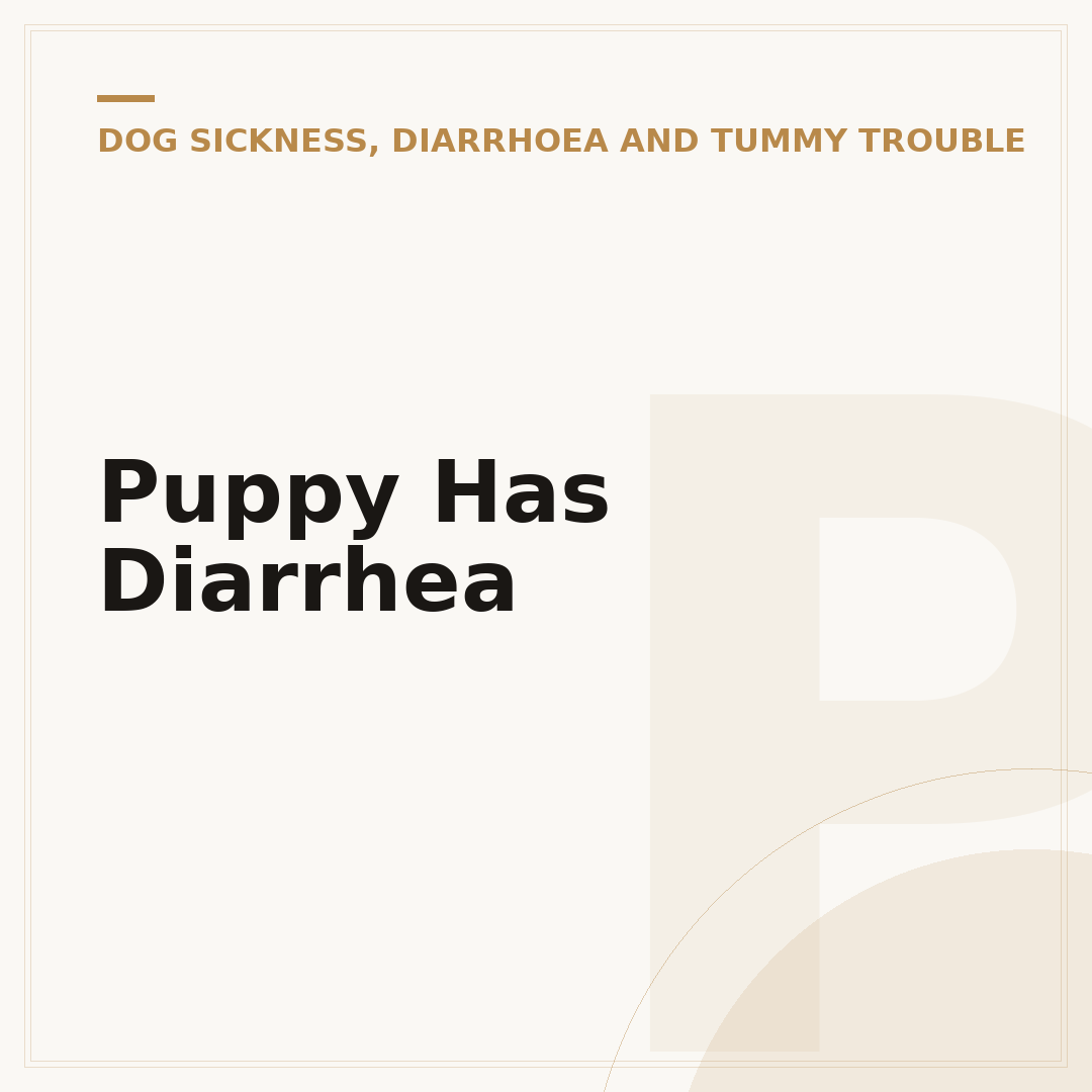 Puppy Has Diarrhea