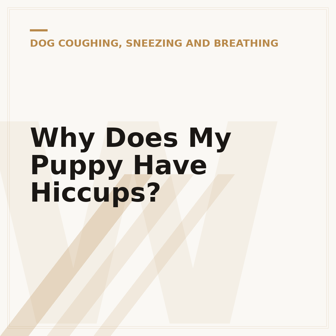 Why Does My Puppy Have Hiccups?