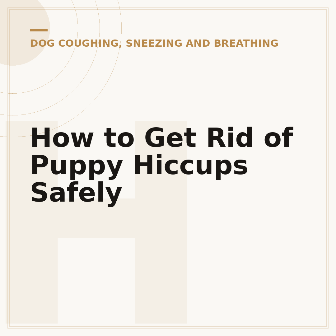 How to Get Rid of Puppy Hiccups Safely
