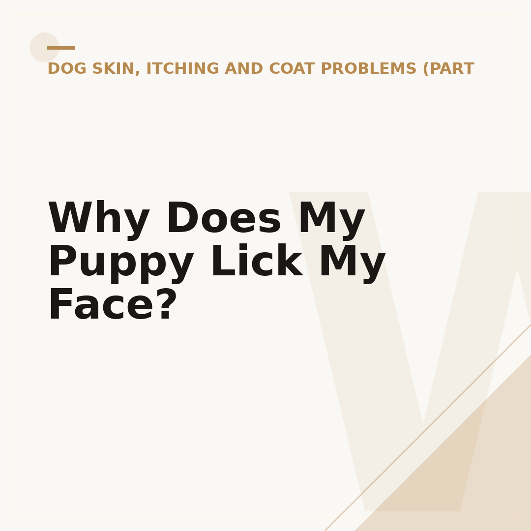 Why Does My Puppy Lick My Face?