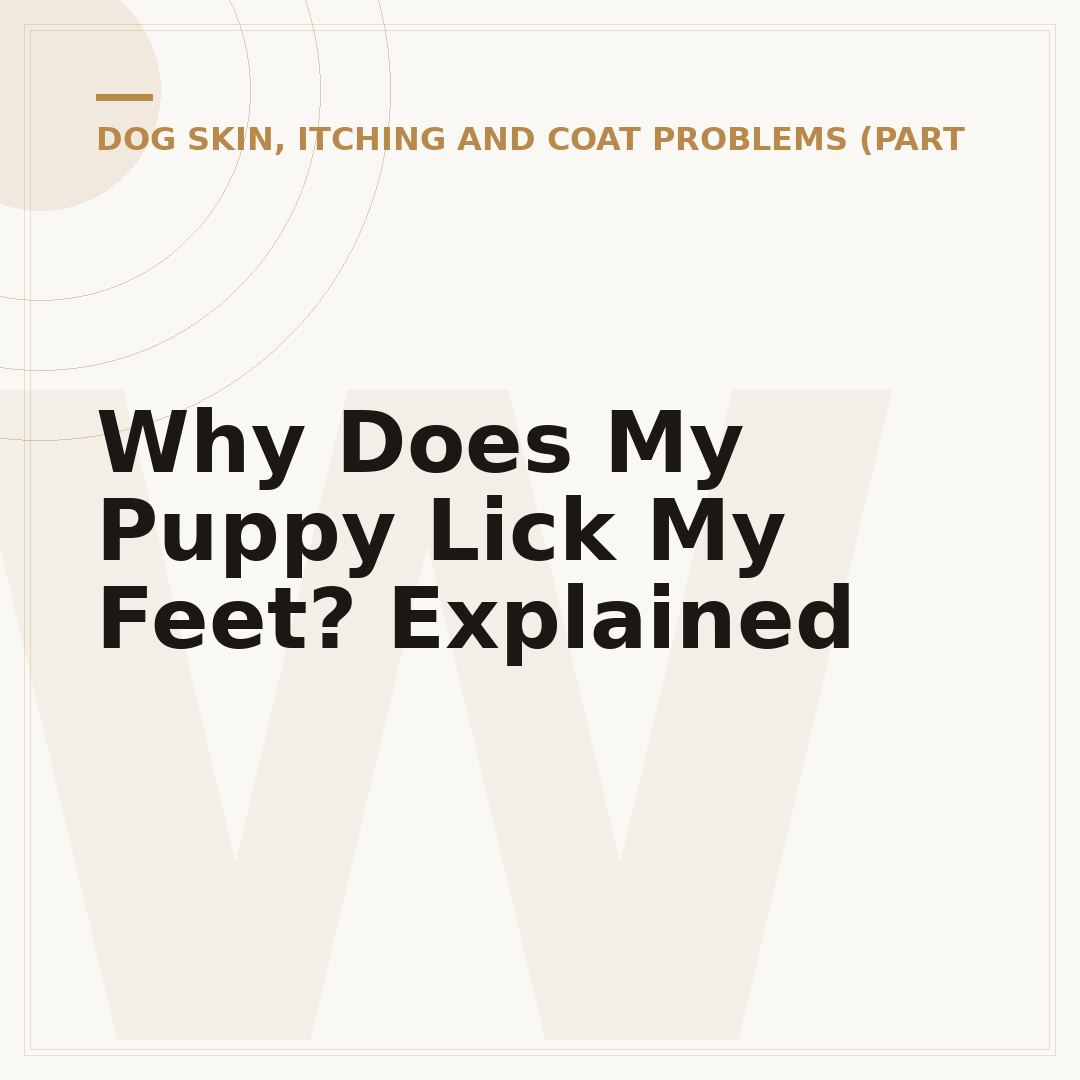 Why Does My Puppy Lick My Feet? Explained