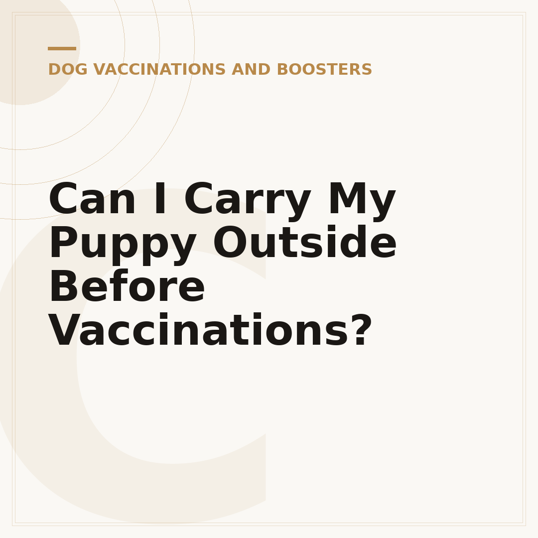 Can I Carry My Puppy Outside Before Vaccinations?