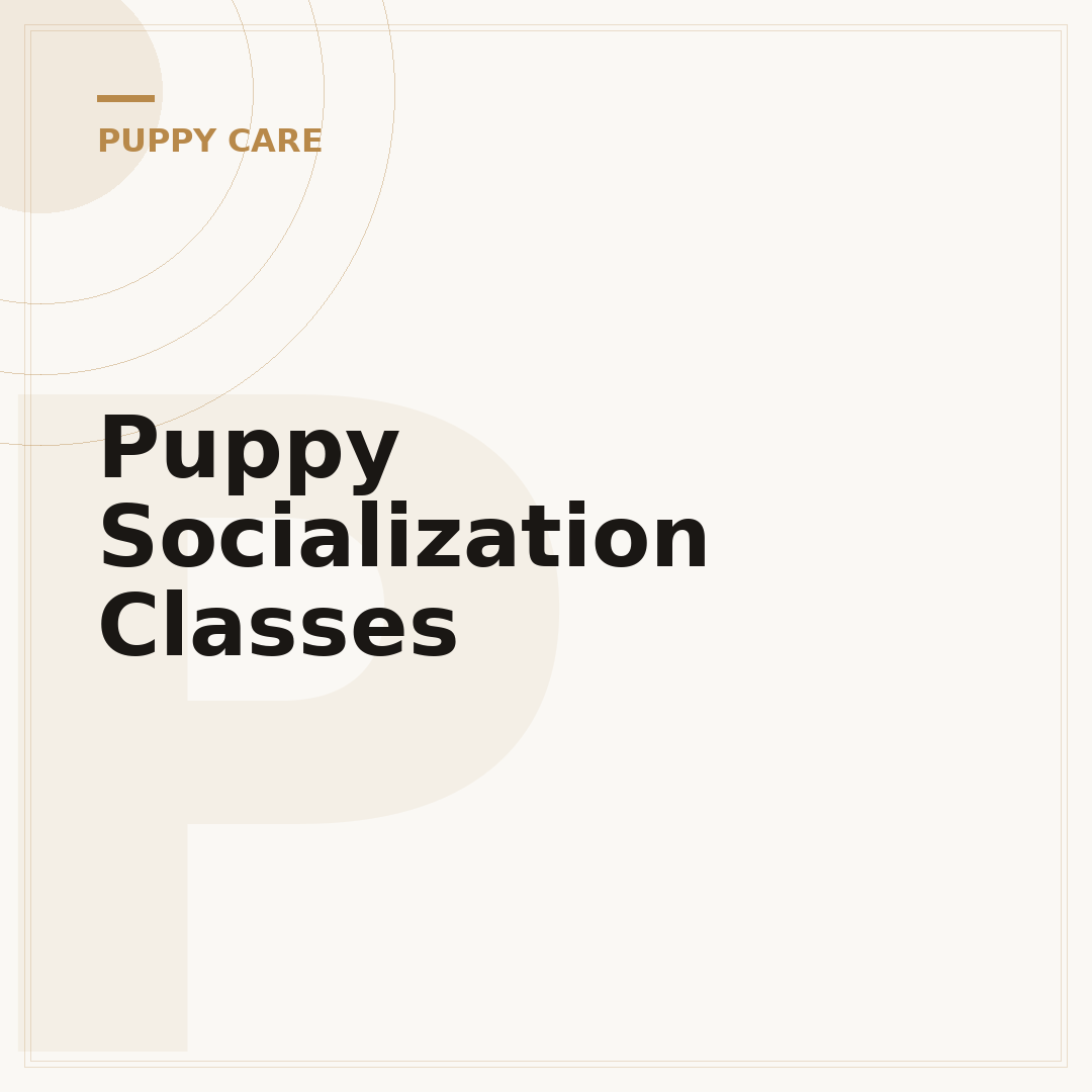 Puppy Socialization Classes