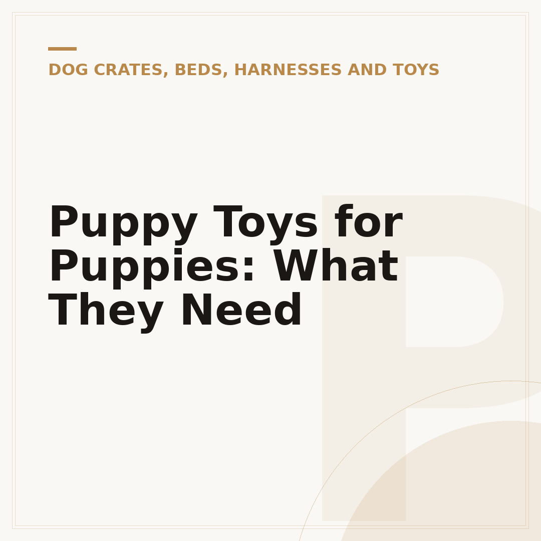 Puppy Toys for Puppies: What They Need