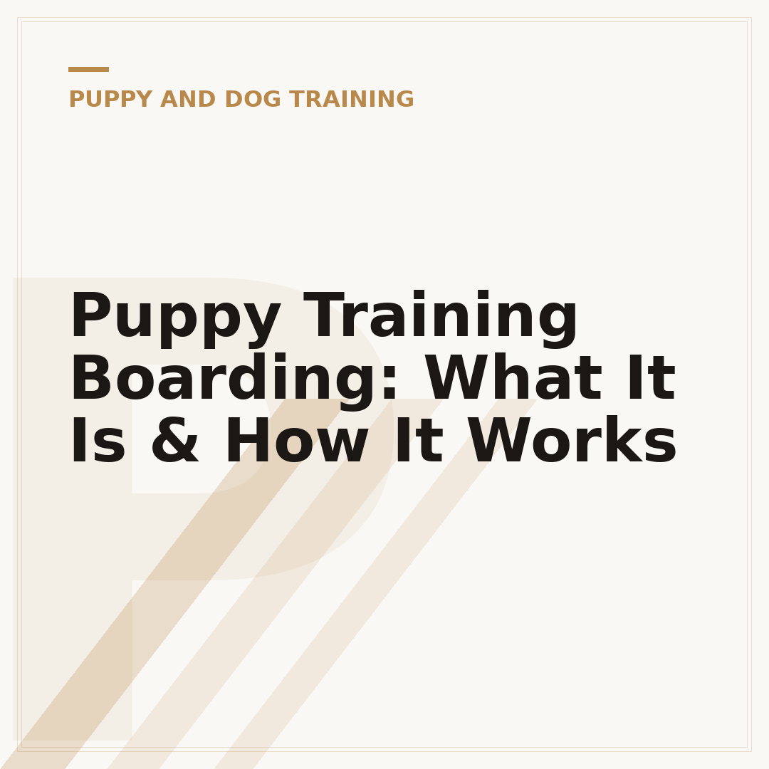 Puppy Training Boarding: What It Is & How It Works