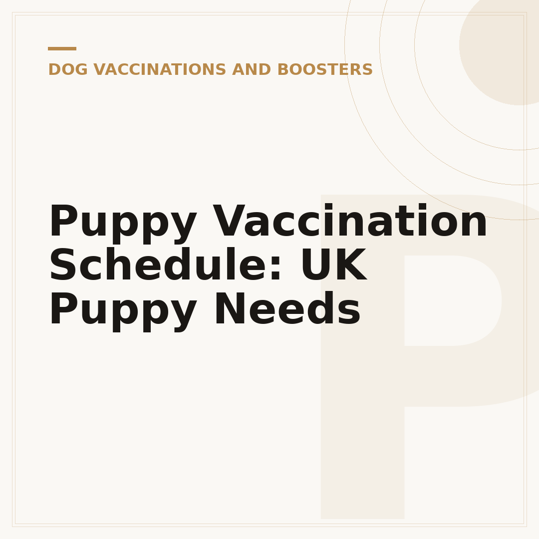 Puppy Vaccination Schedule: UK Puppy Needs