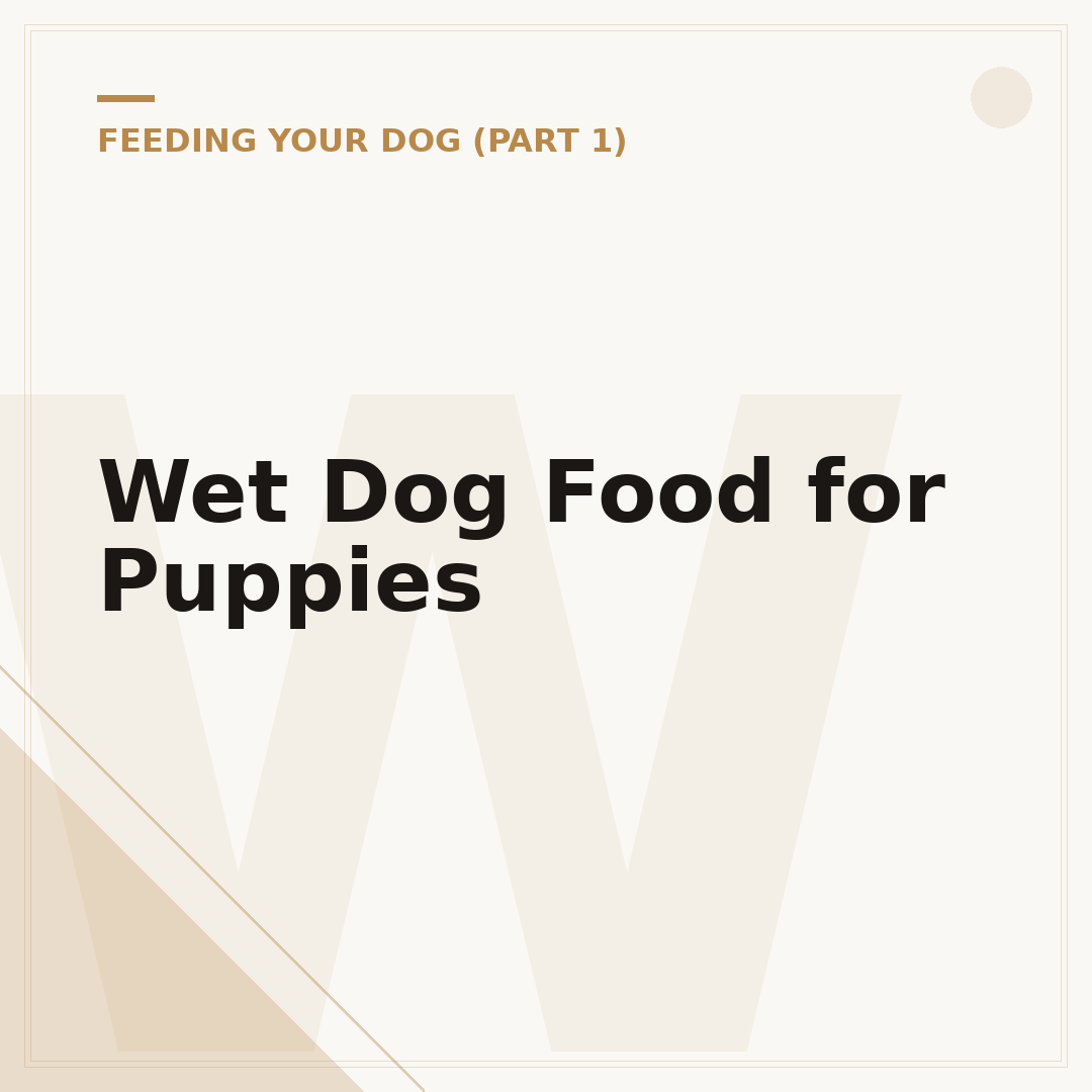 Wet Dog Food for Puppies