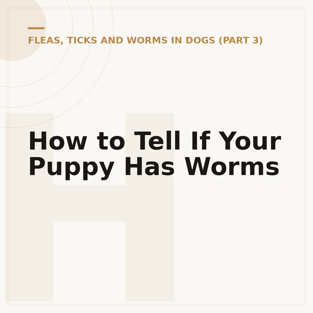 How to Tell If Your Puppy Has Worms