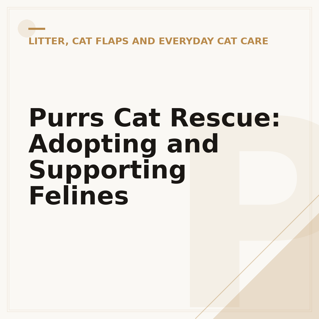 Purrs Cat Rescue: Adopting and Supporting Felines