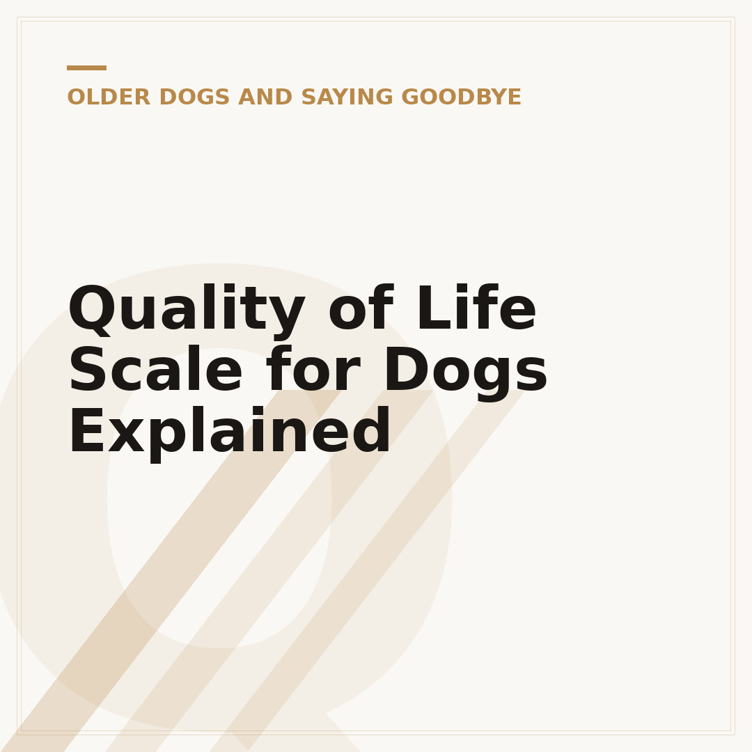 Quality of Life Scale for Dogs Explained