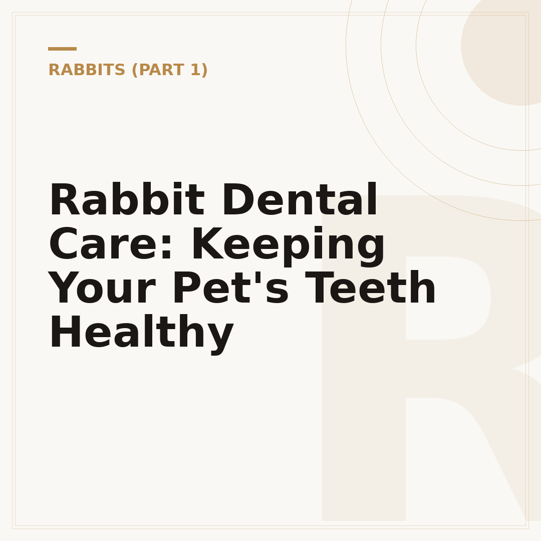 Rabbit Dental Care: Keeping Your Pet's Teeth Healthy