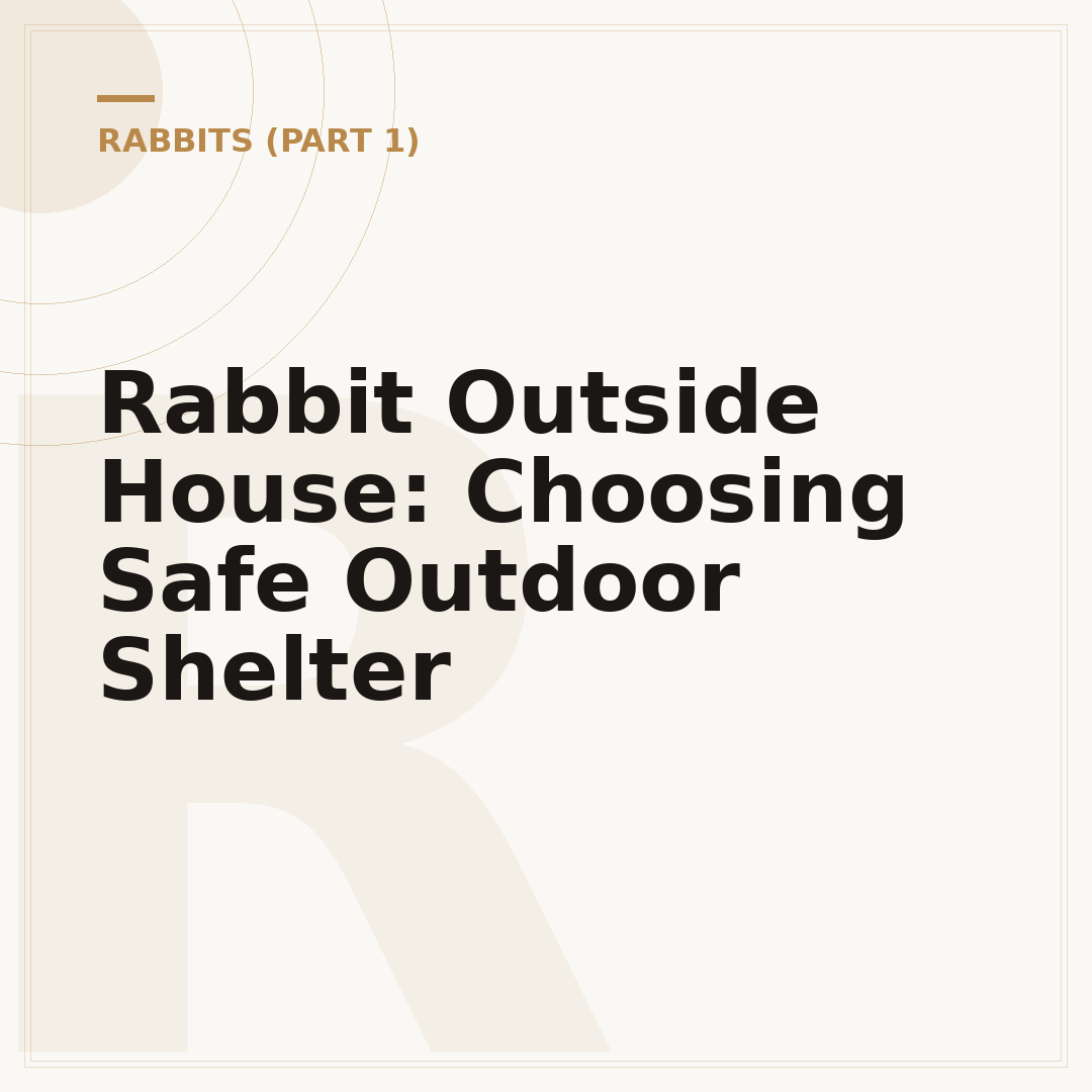 Rabbit Outside House: Choosing Safe Outdoor Shelter