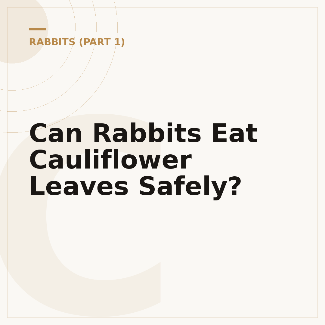 Can Rabbits Eat Cauliflower Leaves Safely?