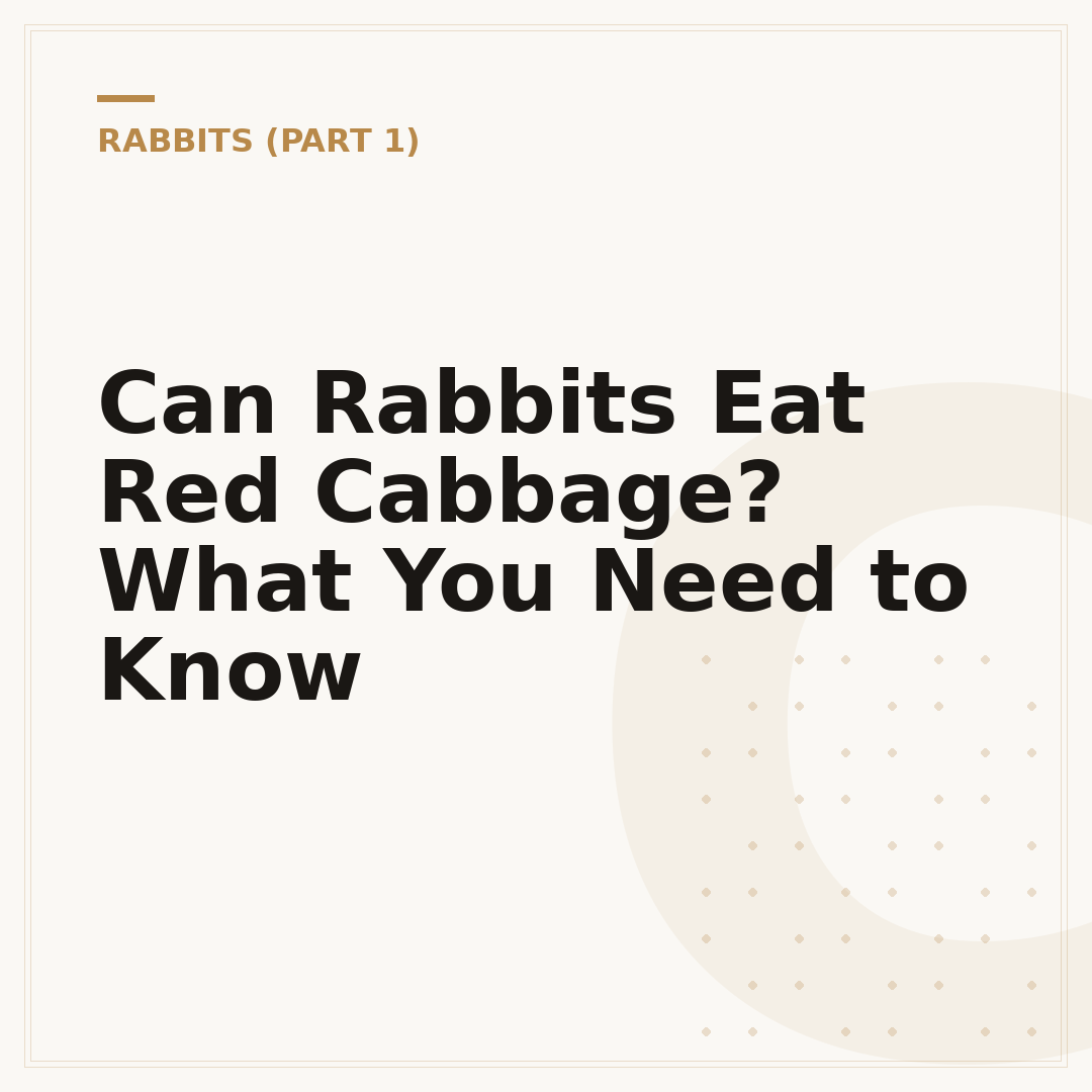 Can Rabbits Eat Red Cabbage? What You Need to Know
