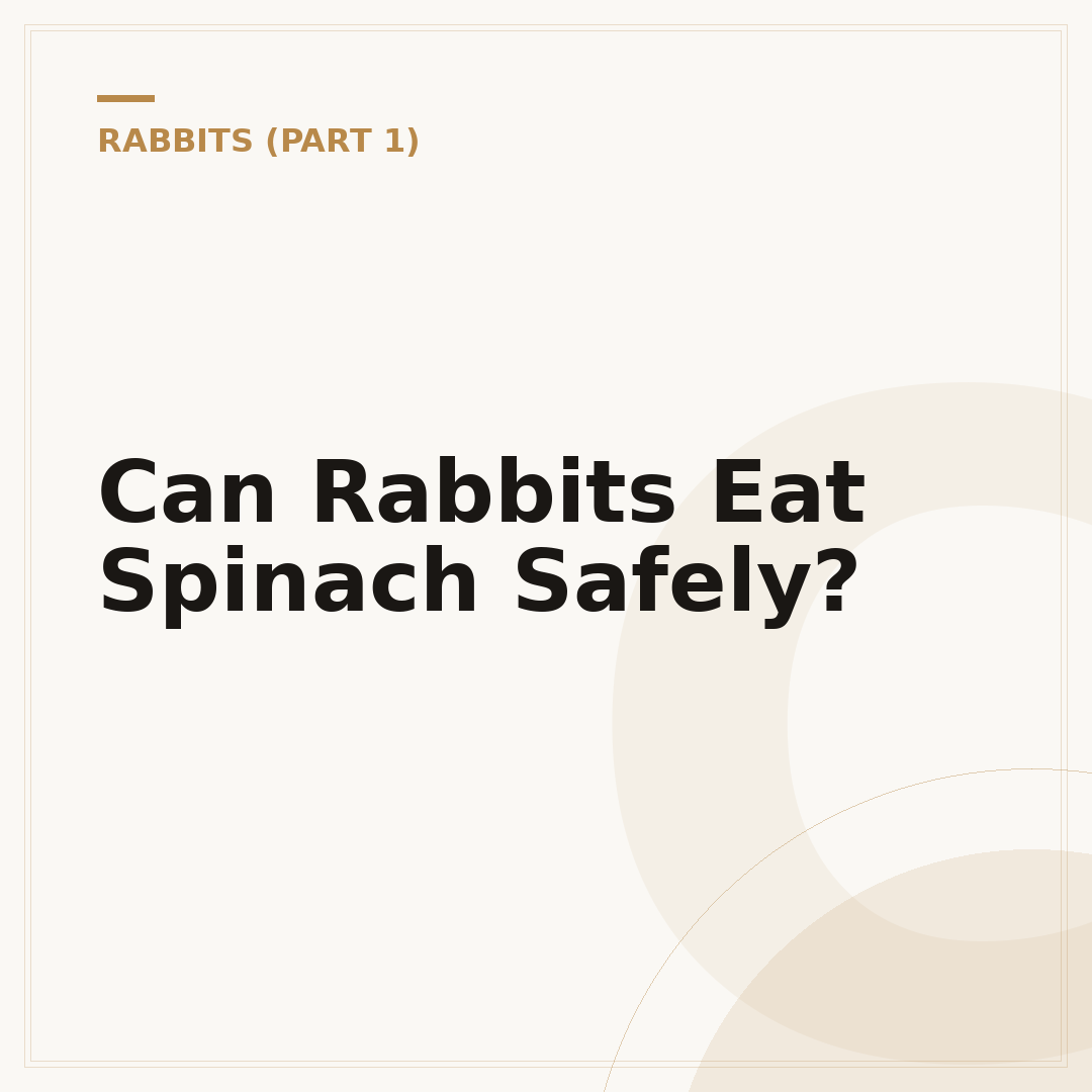 Can Rabbits Eat Spinach Safely?