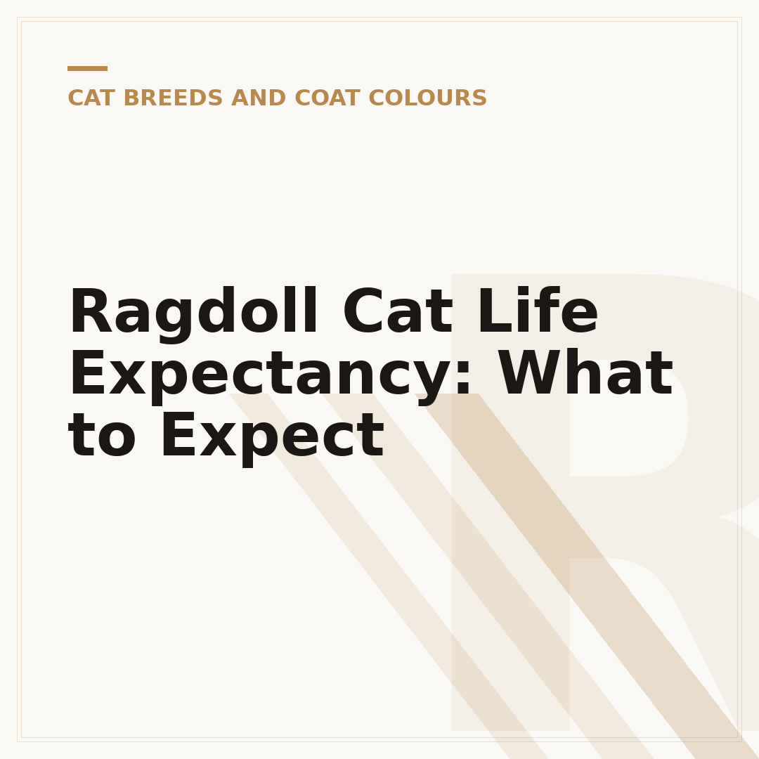 Ragdoll Cat Life Expectancy: What to Expect