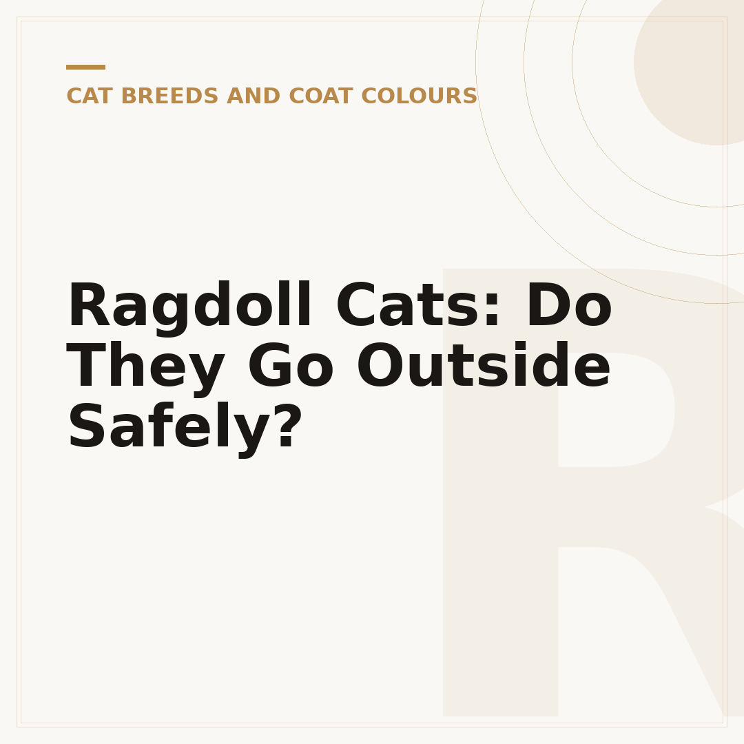 Ragdoll Cats: Do They Go Outside Safely?