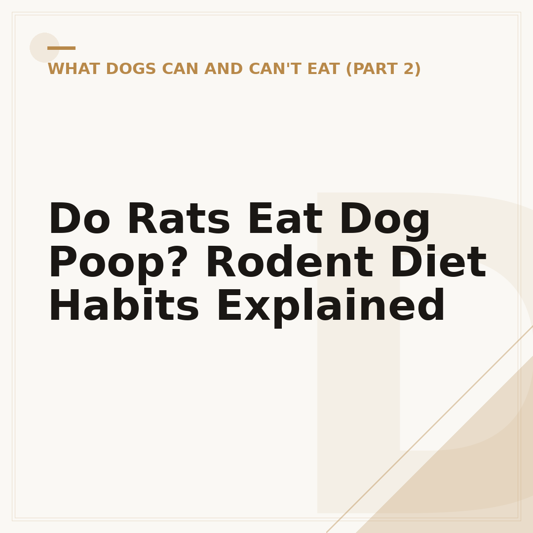 Do Rats Eat Dog Poop? Rodent Diet Habits Explained