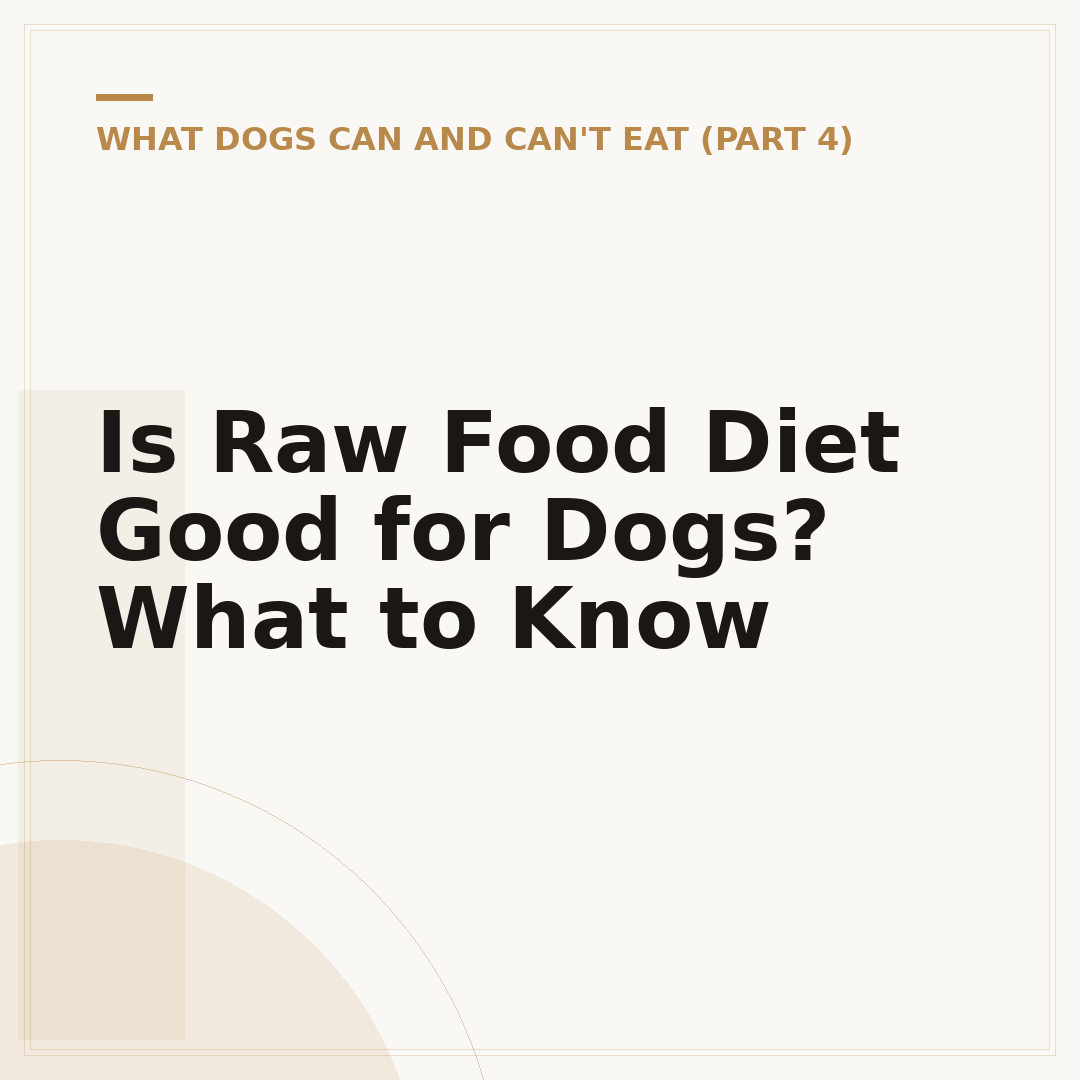 Is Raw Food Diet Good for Dogs? What to Know