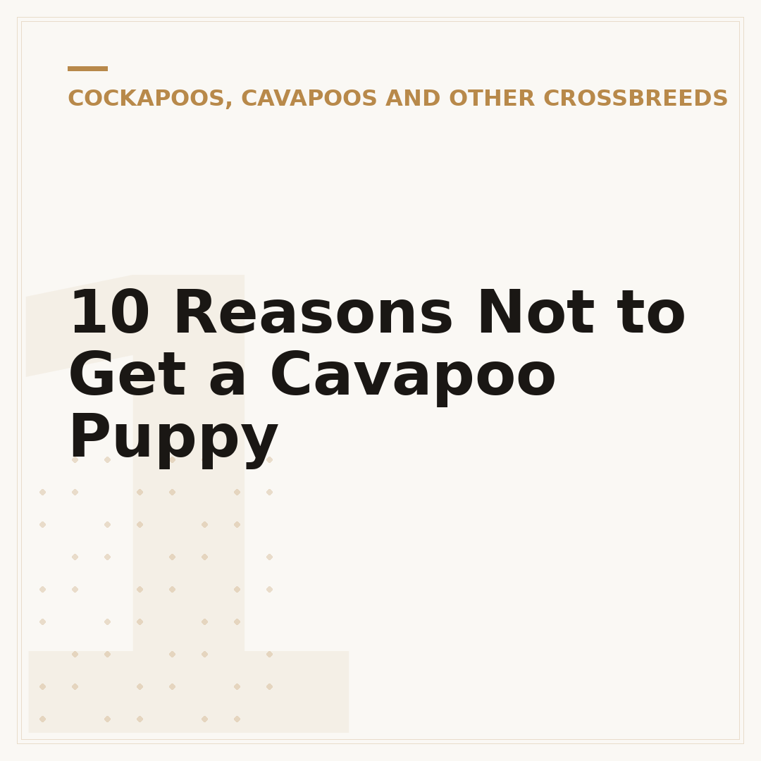 10 Reasons Not to Get a Cavapoo Puppy