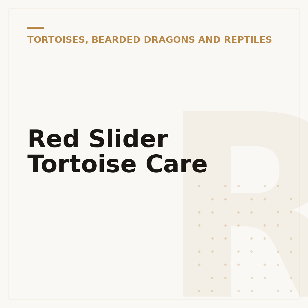 Red Slider Tortoise Care