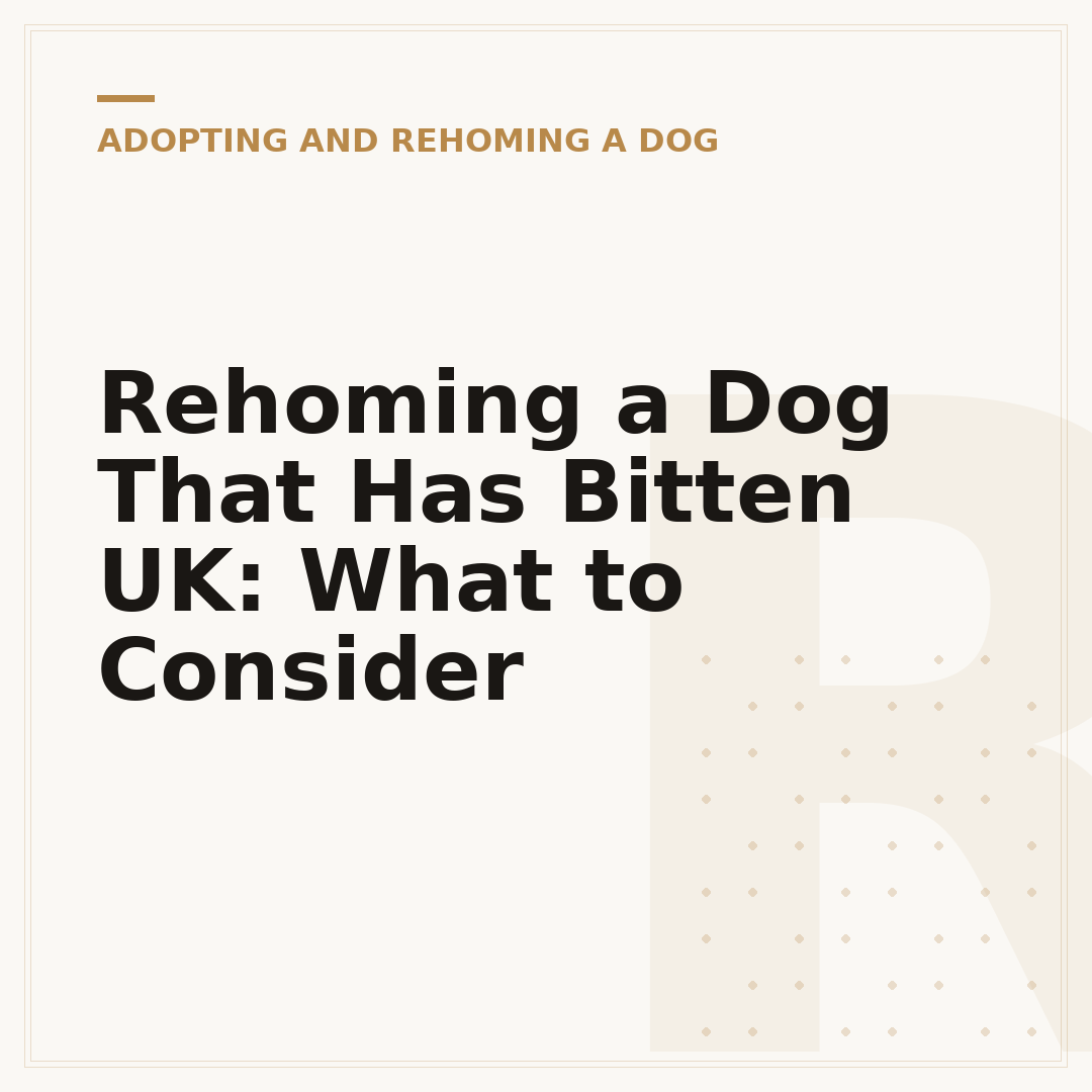 Rehoming a Dog That Has Bitten UK: What to Consider