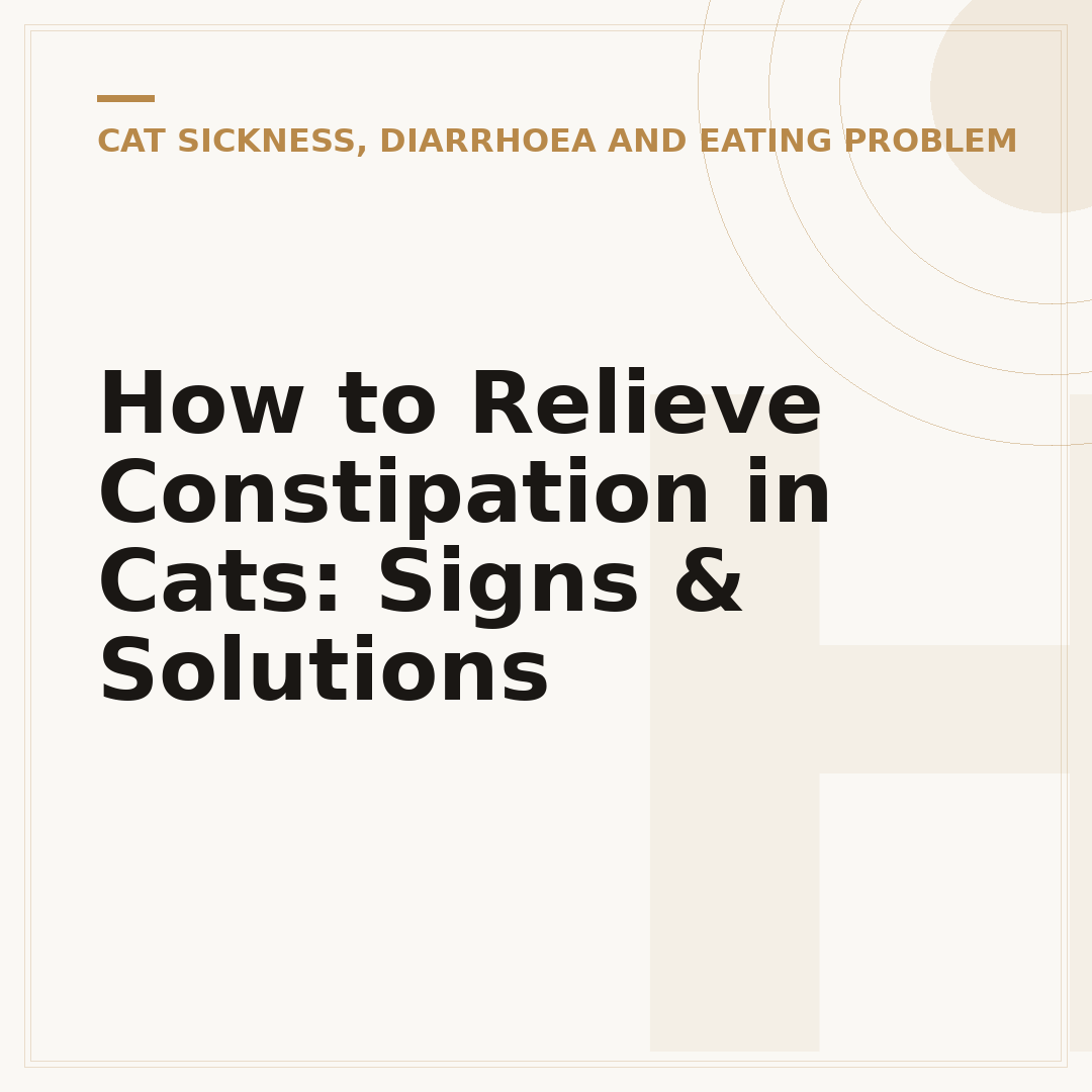 How to Relieve Constipation in Cats: Signs & Solutions