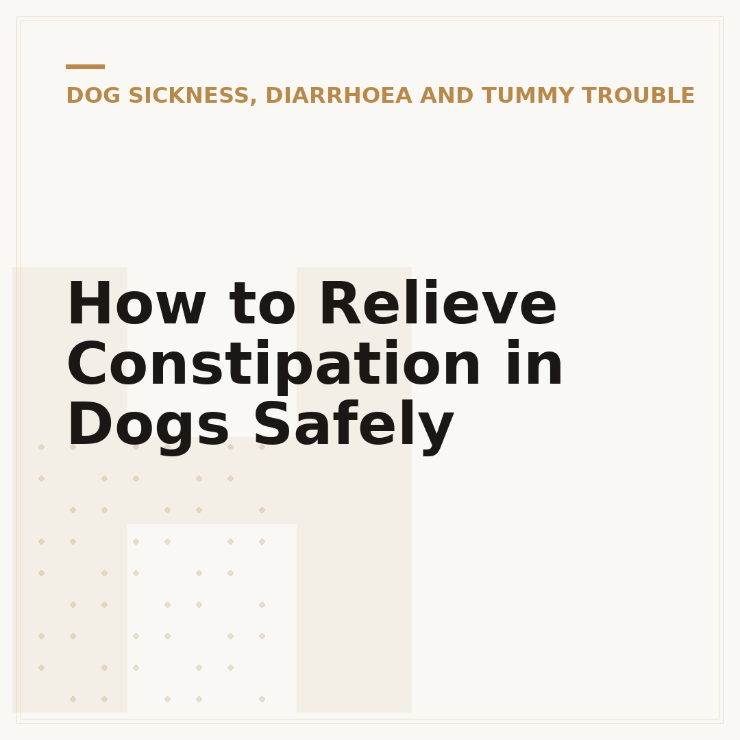 How to Relieve Constipation in Dogs Safely