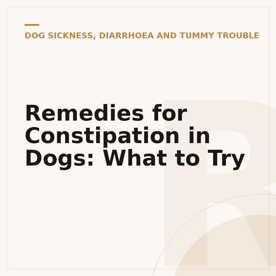 Remedies for Constipation in Dogs: What to Try