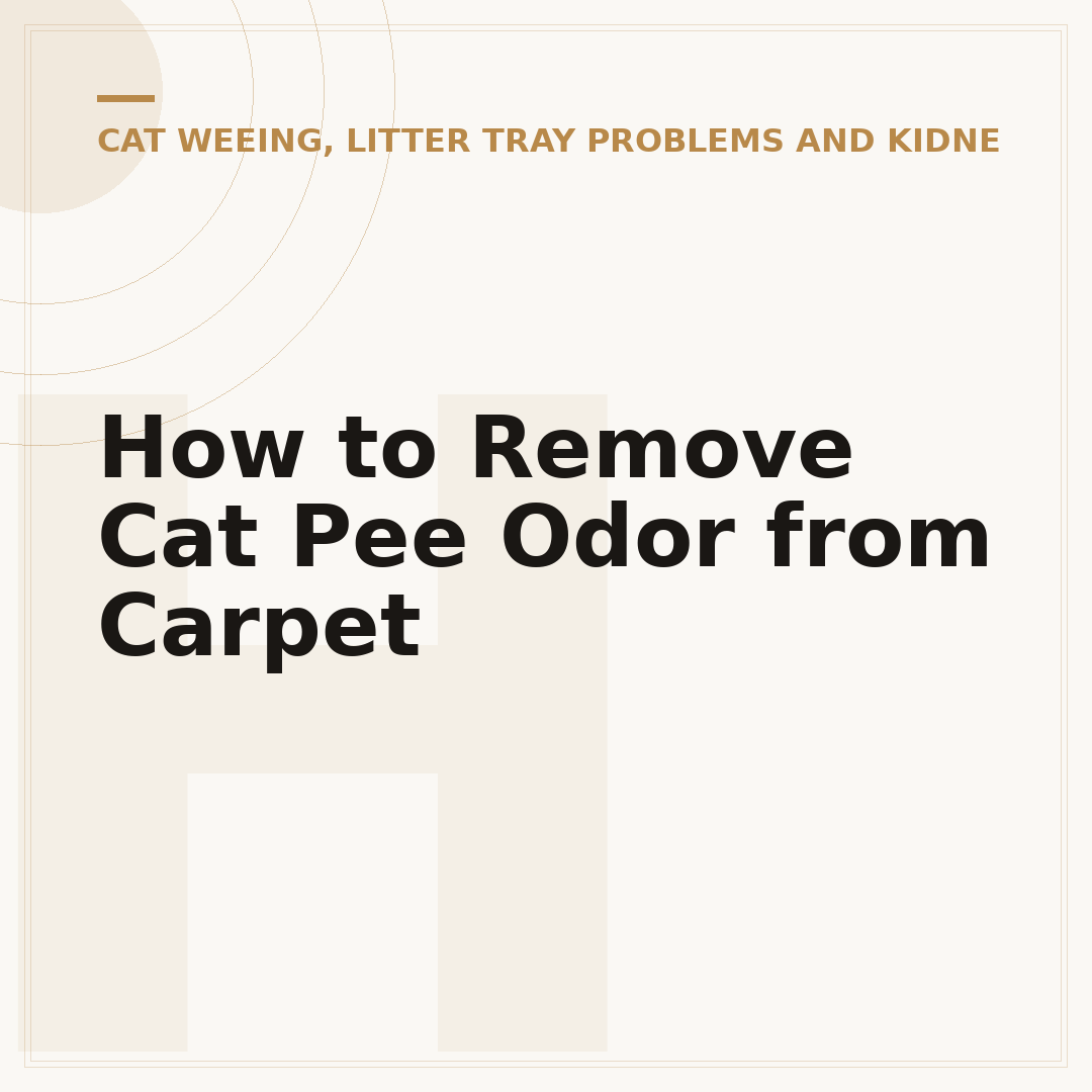 How to Remove Cat Pee Odor from Carpet