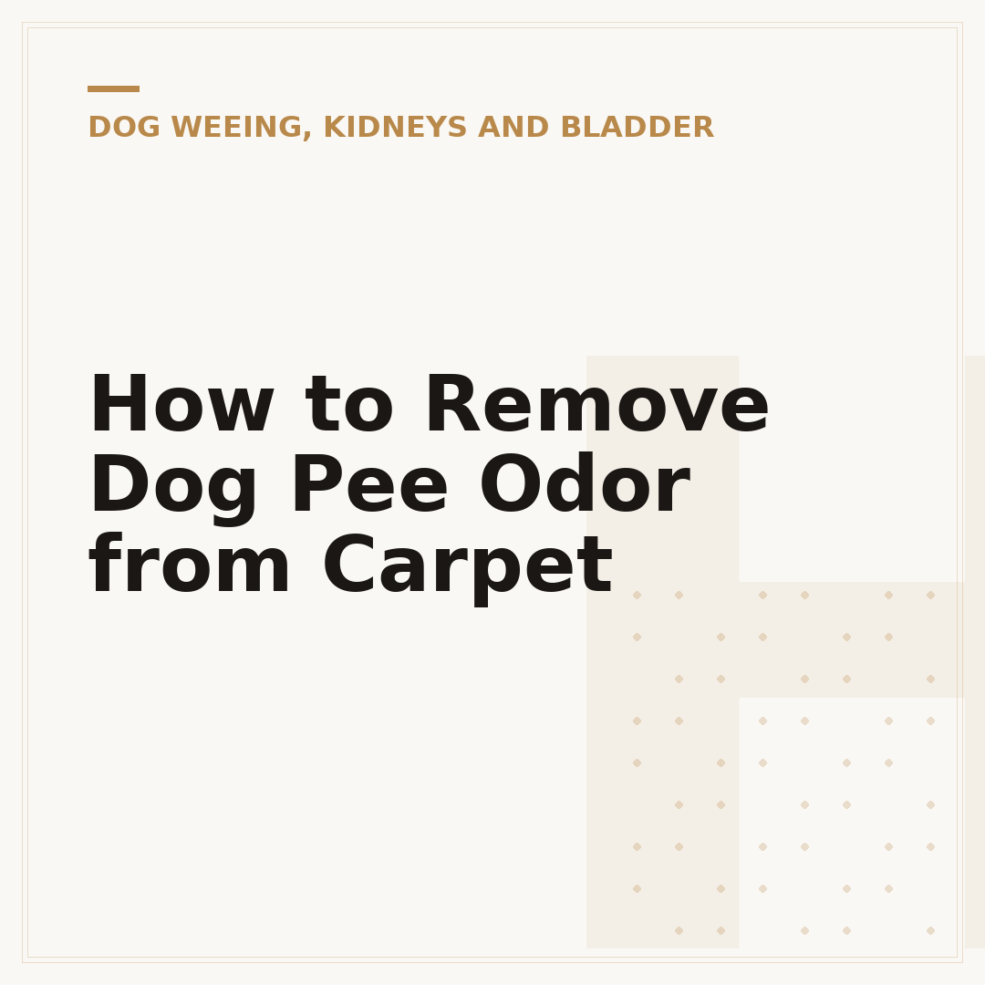 How to Remove Dog Pee Odor from Carpet