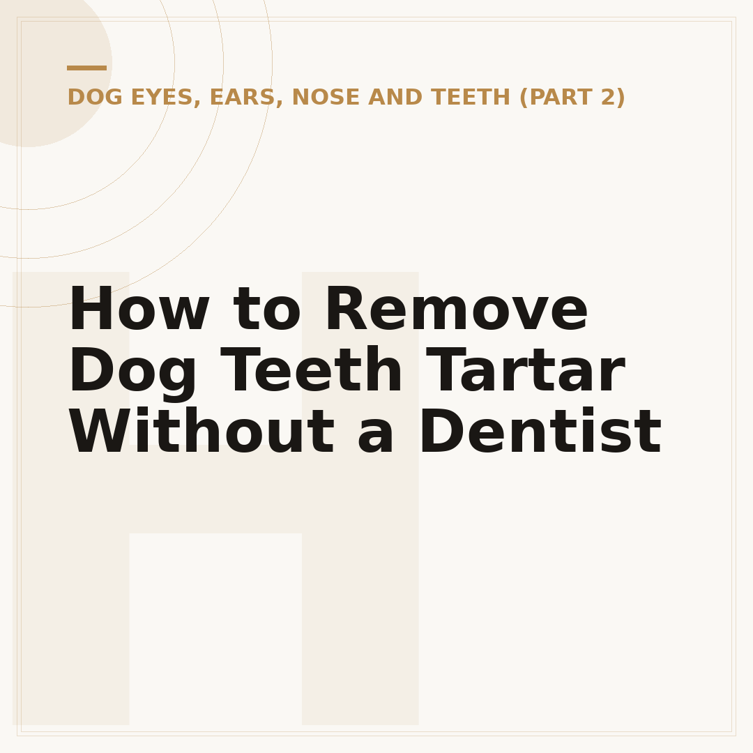 How to Remove Dog Teeth Tartar Without a Dentist