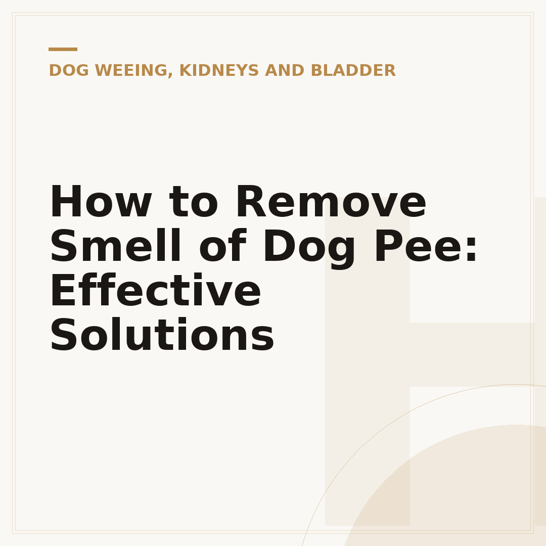 How to Remove Smell of Dog Pee: Effective Solutions