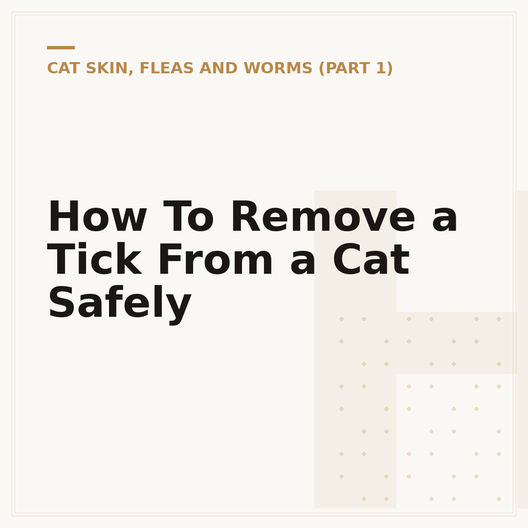 How To Remove a Tick From a Cat Safely
